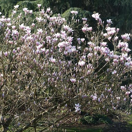 Les Prunelliers Rambouillet Buitenkant foto