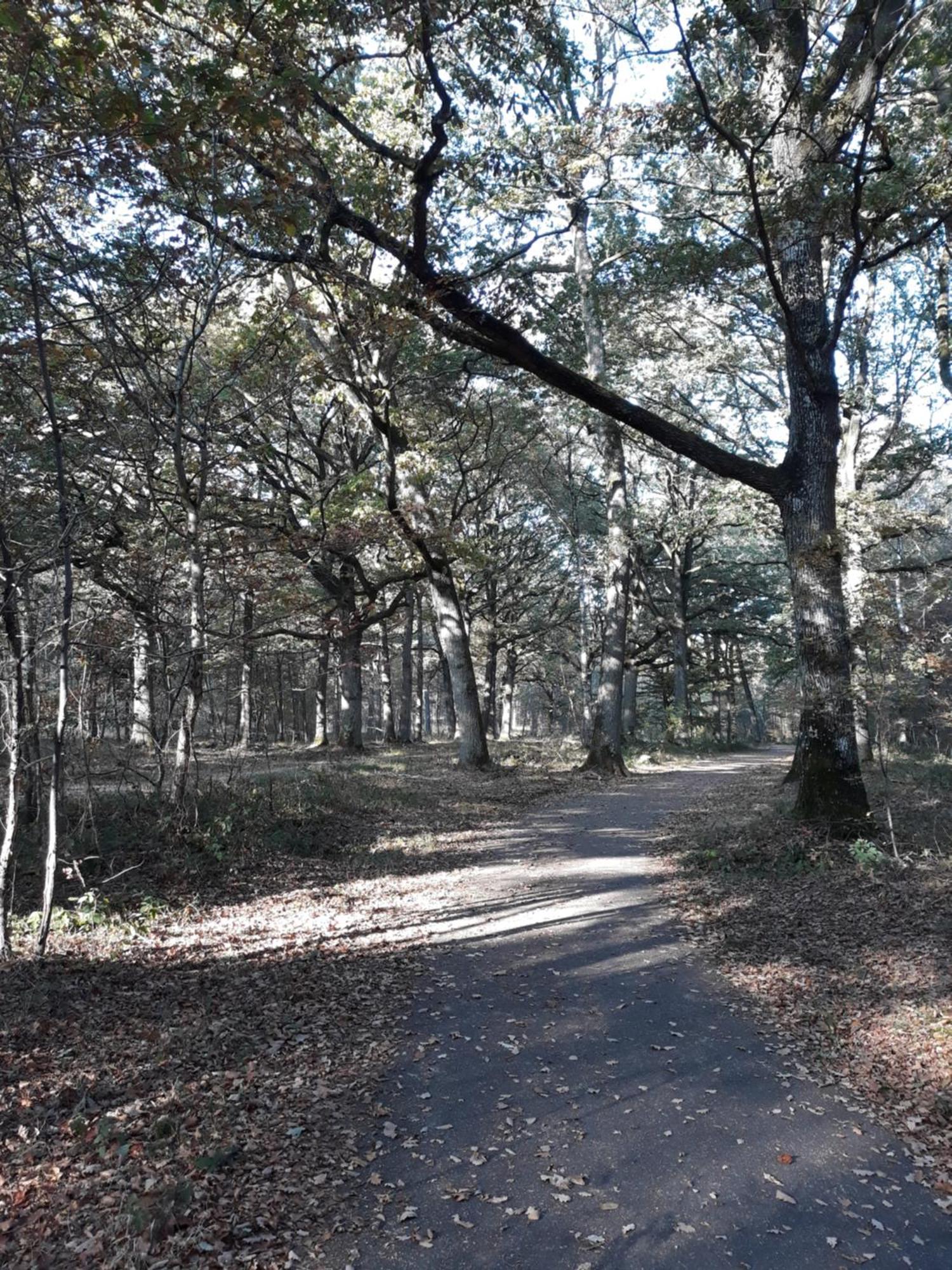 Les Prunelliers Rambouillet Buitenkant foto